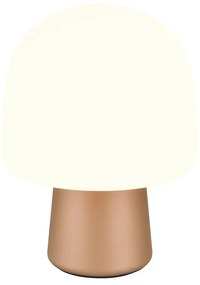 Бяла и бронзова настолна лампа със стъклен абажур (височина 27 cm) Steen – Trio