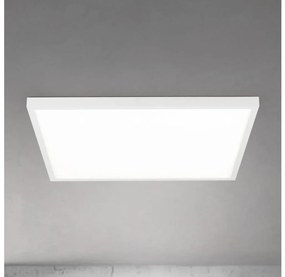 Orion - LED димируема таванна лампа DISC LED/46W/230V 2700/3000/4000K 59x59 см бяла