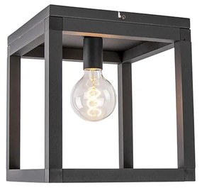 Индустриален плафон черен - Big Cage