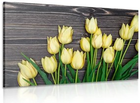 Картина на платно – Омагьосващи жълти лалета на дървена основа
