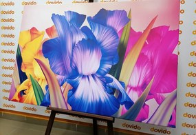 Картина на платно – Цветна фантазия