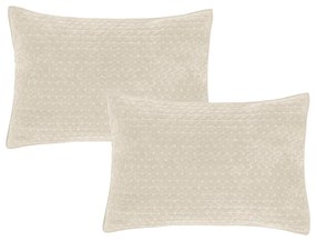 Калъфки за възглавници в комплект 2 бр. 50x75 cm Attica Velvet Embroidered – Bianca