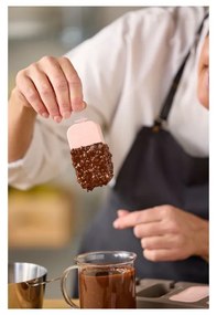 Силиконова форма за сладолед – Blomsterbergs