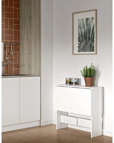 Сгъваема маса за хранене с бял плот 76x28 cm Papillon - TemaHome