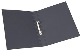 Картонен органайзер за документи Ringo - Bigso Box of Sweden