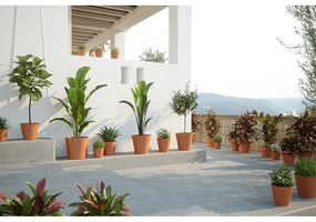 Теракотена саксия за цветя ø 39 cm Manuel – Artevasi