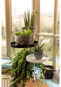 Комплект от 3 сиви теракотени саксии - Esschert Design