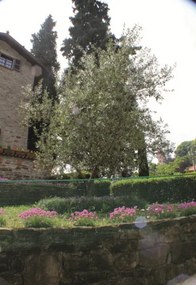 Nortene - Пластмасова ограда Square 0.5 х 5 метра - зелен