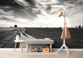 Фототапет – Черно-бял магичен пейзаж