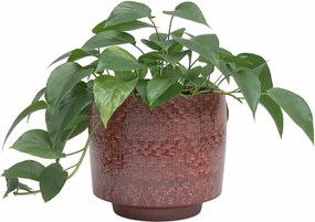 Керамично ръчно изработено покритие за кашпа ø 21 cm Minerva – Artevasi