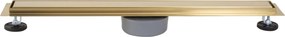 Линеен отводнител REA Neox pro Brush Gold 70