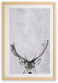 Картина 30x40 cm Deer – Surdic