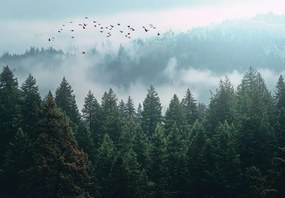 15754 - Тапет Гора обвита в мъгла
