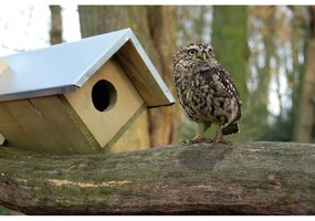 Дървена къщичка за сови – Esschert Design