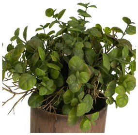 Изкуствени растения в комплект от 2 бр. (височина 22 cm) – Casa Selección