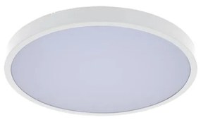 Rabalux 71428-LED Димируем плафон за баня ALENZO LED/24W/230V IP44 бял + д.у.