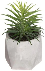Изкуствено растение atmosphera Succulent, 14 cm, Различни видове