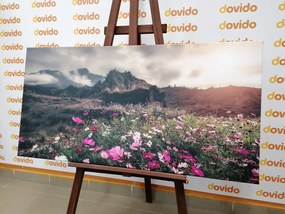 Картина на платно – Ливада от цъфтящи цветя