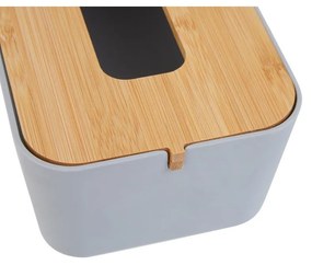 Пластмасова кутия за носни кърпички Canyon - Premier Housewares