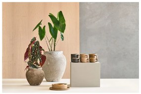Порцеланови чаши за еспресо в комплект от 2 чаши по 100 мл Fjord - Villa Collection