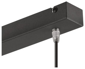 Черно висящо осветително тяло с метален абажур Danielle – LAMKUR