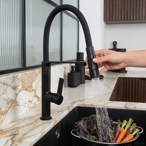 Смесител за кухня REA Lago Black