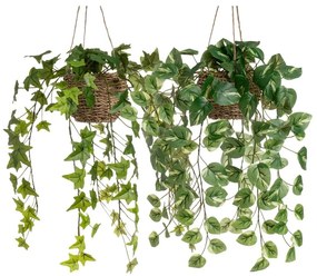 Изкуствени растения в комплект от 2 бр. (височина 50 cm) – Casa Selección