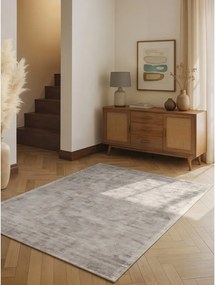 Сив ръчно изработен килим от вискоза 200x300 cm Noemi – Vikosa