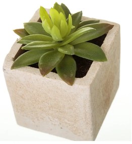 Изкуствени растения в комплект от 6 броя (височина 9,5 см) Cactus - Casa Selección