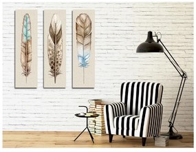 Картина от 3 части върху платно Пера - Wallity