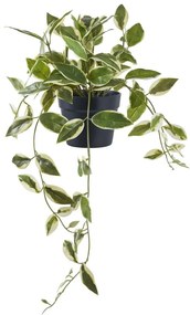 Изкуствено растение (височина 33 cm) Hoya Carnosa – House Nordic