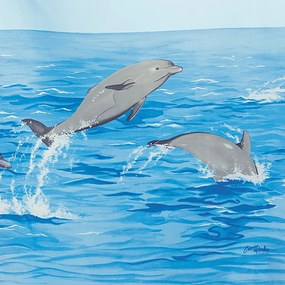 Завеса за душ 120x200 cm Nemo – Spirella