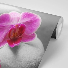 Фототапет – Орхидеи върху камъни