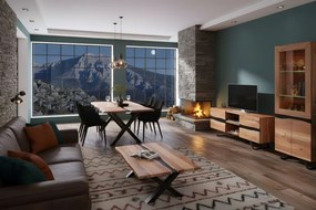 Холна секция Dalma