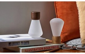 Настолна лампа с възможност за затъмняване в естествен цвят (височина 13 см) Pentagon - Gingko