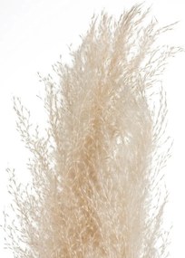 Изкуствено растение atmosphera Natural Pampa, 110см, 3бр, Бежов