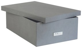 Комплект от 3 сиви кутии за съхранение Inge - Bigso Box of Sweden