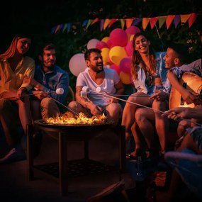 Градинска стоманена купа за огън с място за съхранение 55 см