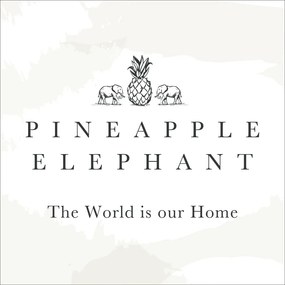 Калъфки за възглавници 2 бр. 50x75 cm Tamba Stripe – Pineapple Elephant