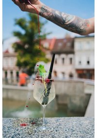 Комплект от 6 черни стъклени сламки за пиене с дължина 20 cm - Vialli Design