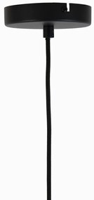 Сива лампа за таван със стъклен абажур ø 21 cm Lekar - Light &amp; Living