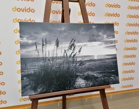 Картина на платно – Залез на плажа в черно-бяло изпълнение