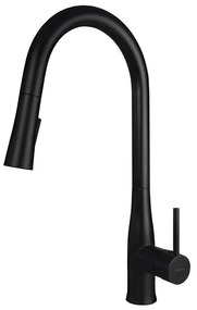 Deante BDH_N72M - Кран за мивка с издърпваща се пръскачка LUKRECJA черен