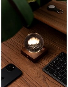 Тъмнокафява светлинна декорация с USB Amber – Gingko