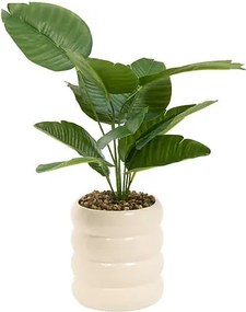 Изкуствено растение atmosphera Poolside Strelitzia , 45 cm, Керамика, Асорти