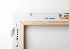 Картина на платно – Прекрасни черно-бели лалета в интересно изпълнение