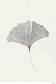 Постер 50x70 cm Ginkgo Leaf – Ana Frois – The Poster Club