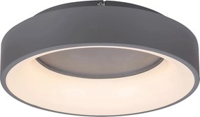 Rabalux Adeline Таванно осветление (плафони) IP20 LED 24W 3000-6000K 3928