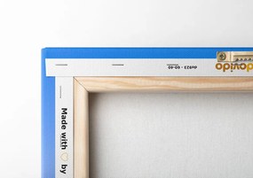 Картина на платно – Вулканът Фуджи