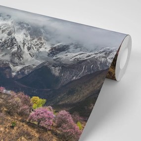 Фототапет – Уникален планински пейзаж